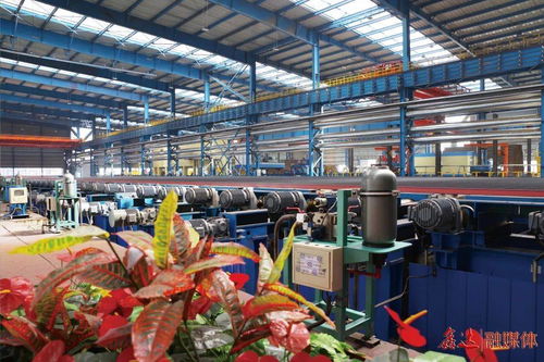 除塵系統升級改造,助力綠色文化工廠建設